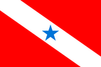 Bandeira de Pará
